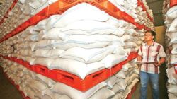 Keberlanjutan Produksi Pangan Nasional di Tengah Tantangan El Nino