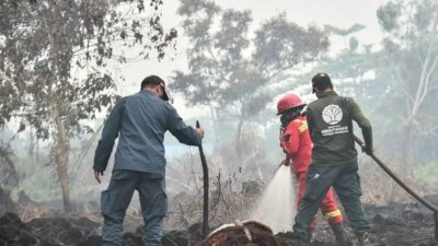 Penanganan Kebakaran Hutan dan Lahan di Enam Provinsi
