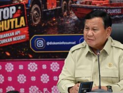 Langkah Preventif Prabowo Atasi Kebakaran Hutan di IKN