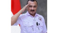 Pandangan Ferdinand Hutahaean Terhadap Peran Ormas dalam Masyarakat