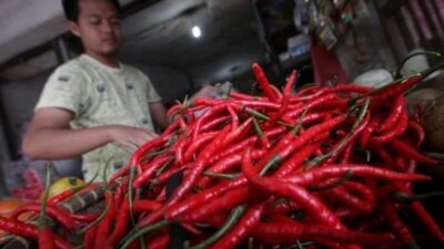 Kenaikan Drastis Harga Cabai Rawit Merah di Pasaran