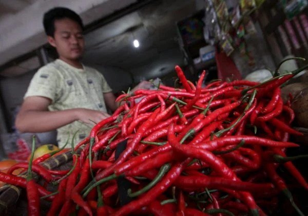 Kenaikan Drastis Harga Cabai Rawit Merah di Pasaran