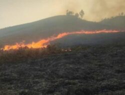 Kebakaran Terulang di Kawasan Gunung Bromo