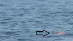 Pencarian Jurnalis Hilang Kontak di Selat Sunda: Temuan Pelampung dan Buoy