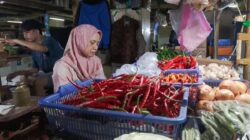 Kenaikan Harga Cabai Rawit di Jakarta: Penyebab dan Dampaknya