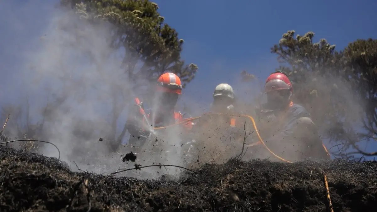 Upaya Pemadaman Kebakaran di Gunung Bromo