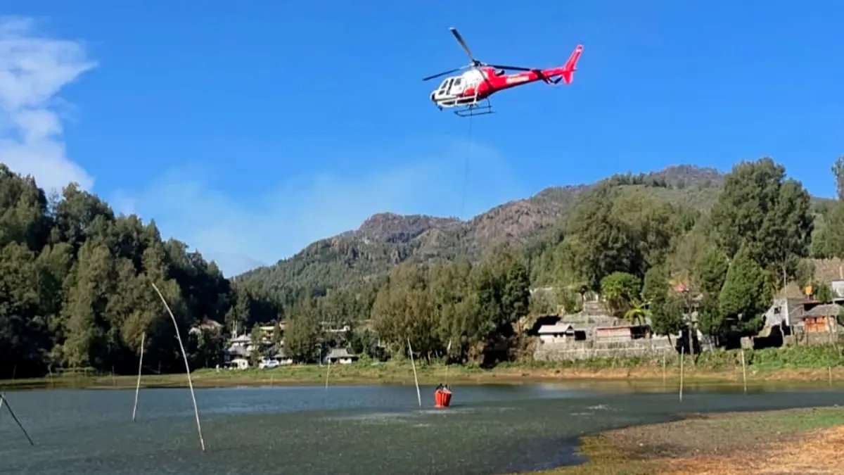 Kebakaran Hutan Gunung Bromo Berlanjut, Upaya Pemadaman Diperintahkan