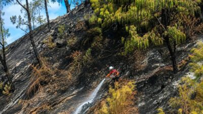 Upaya Penanggulangan Karhutla di Gunung Bromo