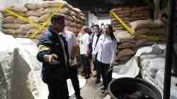 Dukungan Pemprov Jakarta dalam Penanganan Kasus Penyelundupan Kacang Tanah
