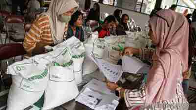 NEXT: Pemerintah perlu pastikan sebaran pasokan beras sesuai kebutuhan