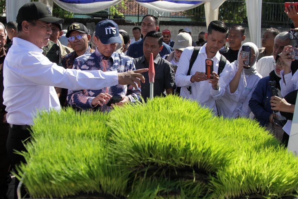 Inisiatif Pertanian Berkelanjutan: Lahan Etanol untuk Kemandirian Energi