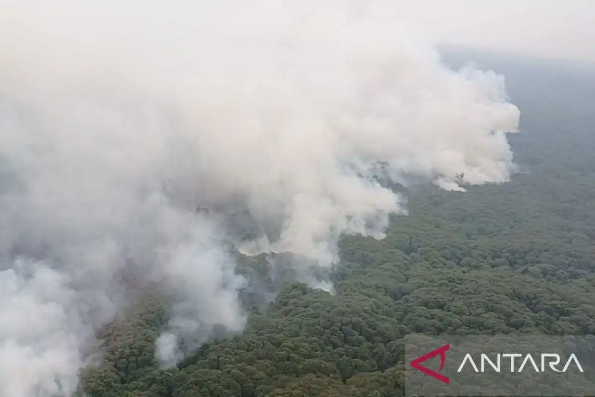 Upaya Penanganan Kebakaran Hutan di Taman Nasional Berbak Sembilang