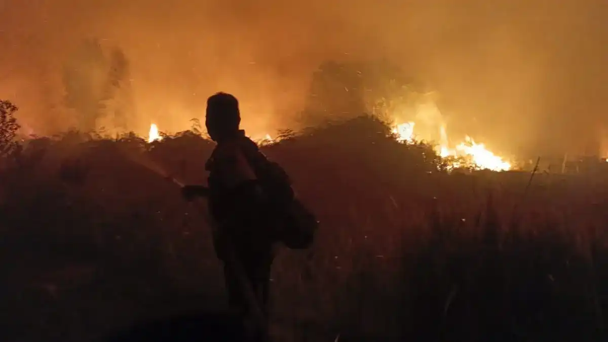 Dampak Kebakaran Hutan di Indonesia: Asap Polusi Merambah ke Negara Tetangga