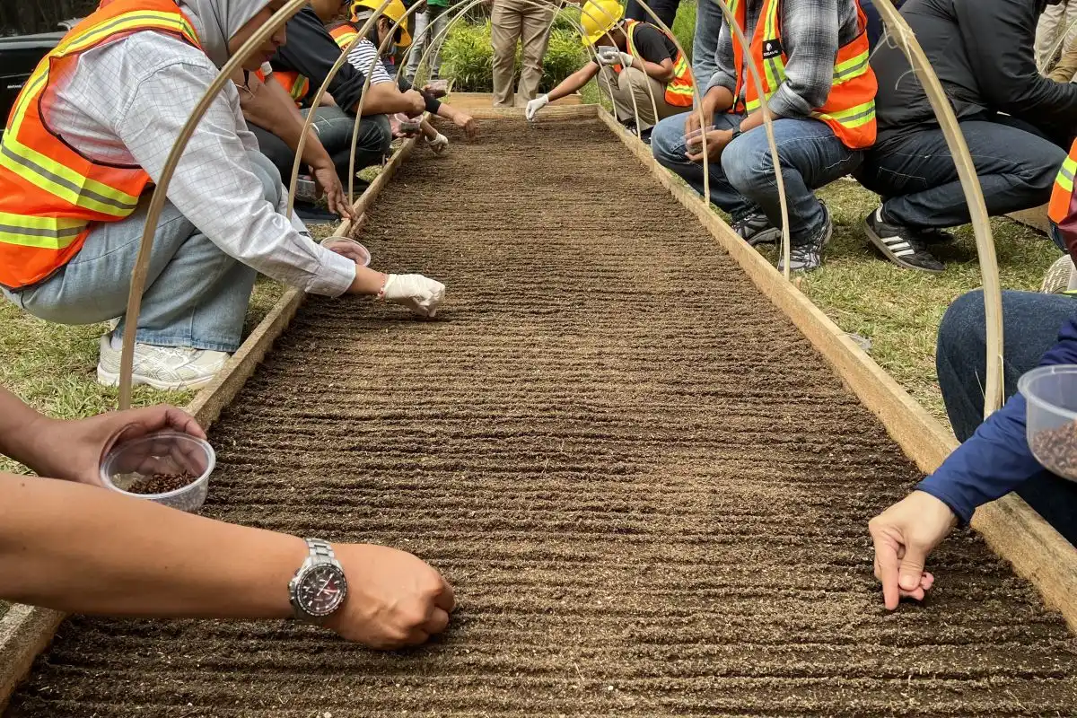 Keseriusan Perum Perhutani dalam Penanaman Hutan 2026