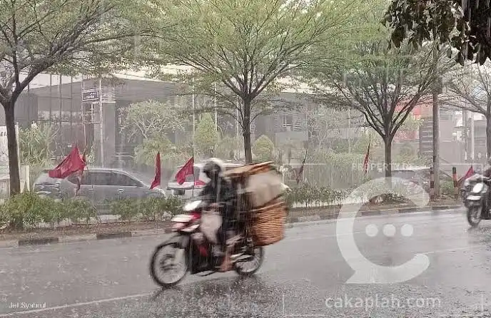 Hujan Membawa Harapan Baru bagi Warga Pekanbaru di Tengah Kabut Asap