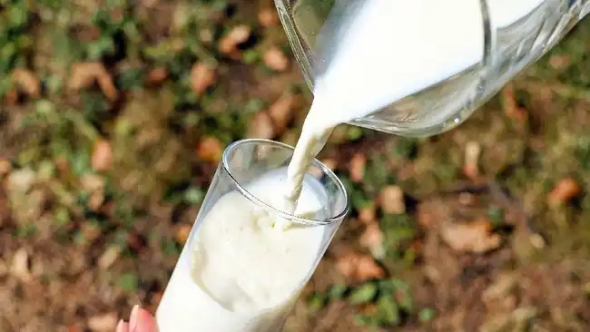 10 Daerah Penghasil Susu Segar Terbesar di RI, Masih Impor Triliunan