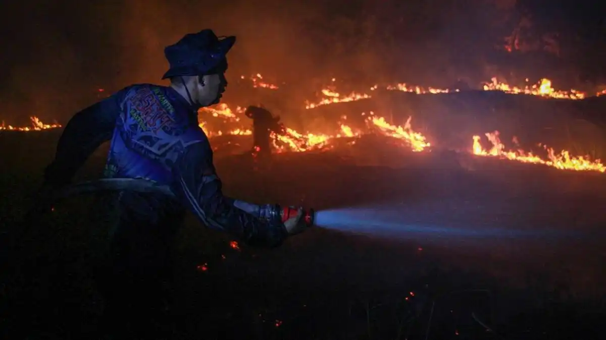 Sebaran 793 Titik Api Karhutla Nasional, Kalimantan Tengah Paling Terdampak