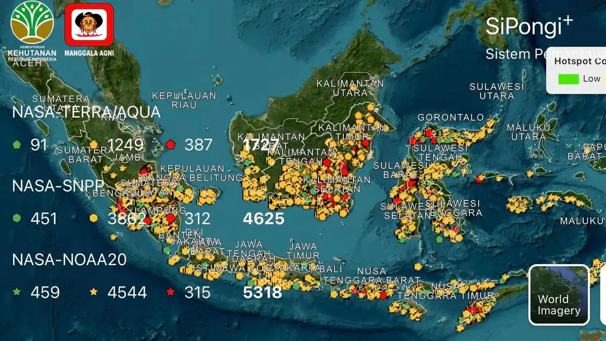 Karhutla Kalteng dan Sumsel Capai 343,55 Hektare, Asap Ganggu Jarak Pandang