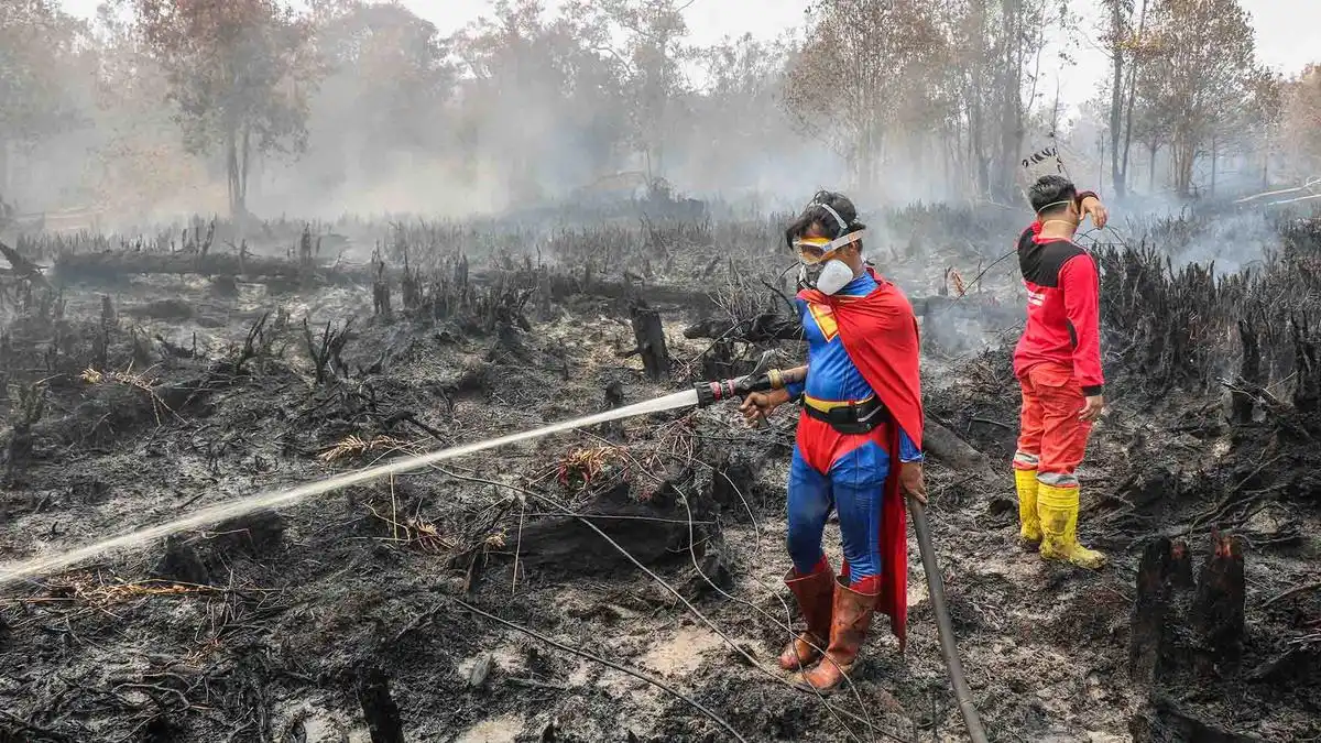 Pemerintah Kerahkan Berbagai Unsur Tangani Karhutla, 68 Konsesi Disegel
