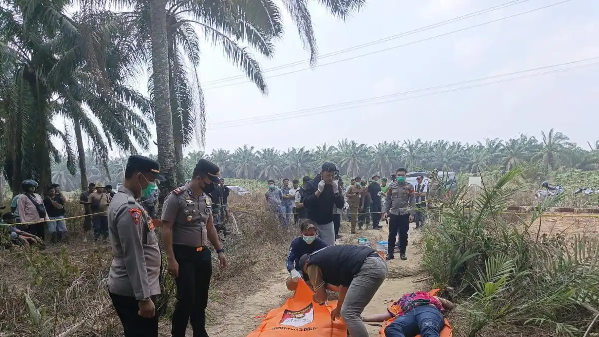 Polisi Dalami Kematian Yulia yang Ditemukan di Perkebunan Sawit Mesuji